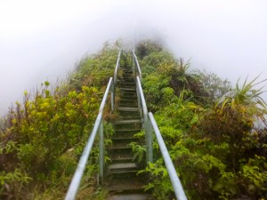 1x-Stairway-to-heaven 102-the-way-up